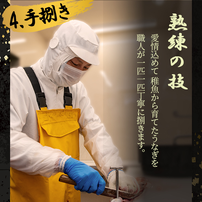 鹿児島県志布志市のふるさと納税 桜林養鰻のうなぎ蒲焼 計200g以上(100g以上×2尾) a3-195