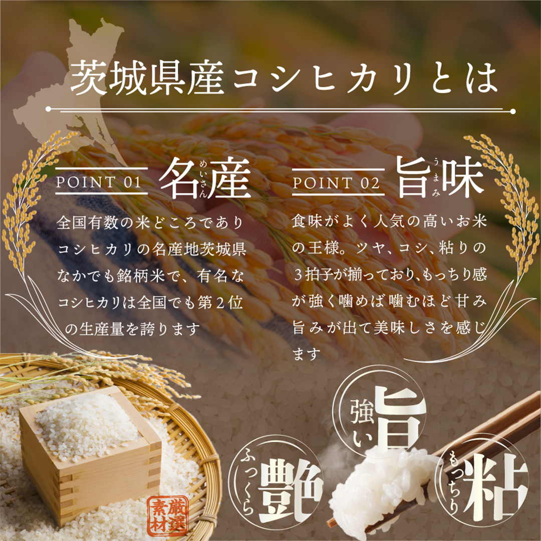 茨城県つくばみらい市のふるさと納税 ＼ 新米 令和６年産 ／【 お試しサイズ 】 茨城県産 コシヒカリ 300g (300g×1袋) お試し ♪ 2合 五つ星お米マイスター監修 寄附額 1000円 ポッキリ 米 精米 茨城 お米 おこめ ごはん 白米 米 茨城産  こしひかり[DW01-NT]