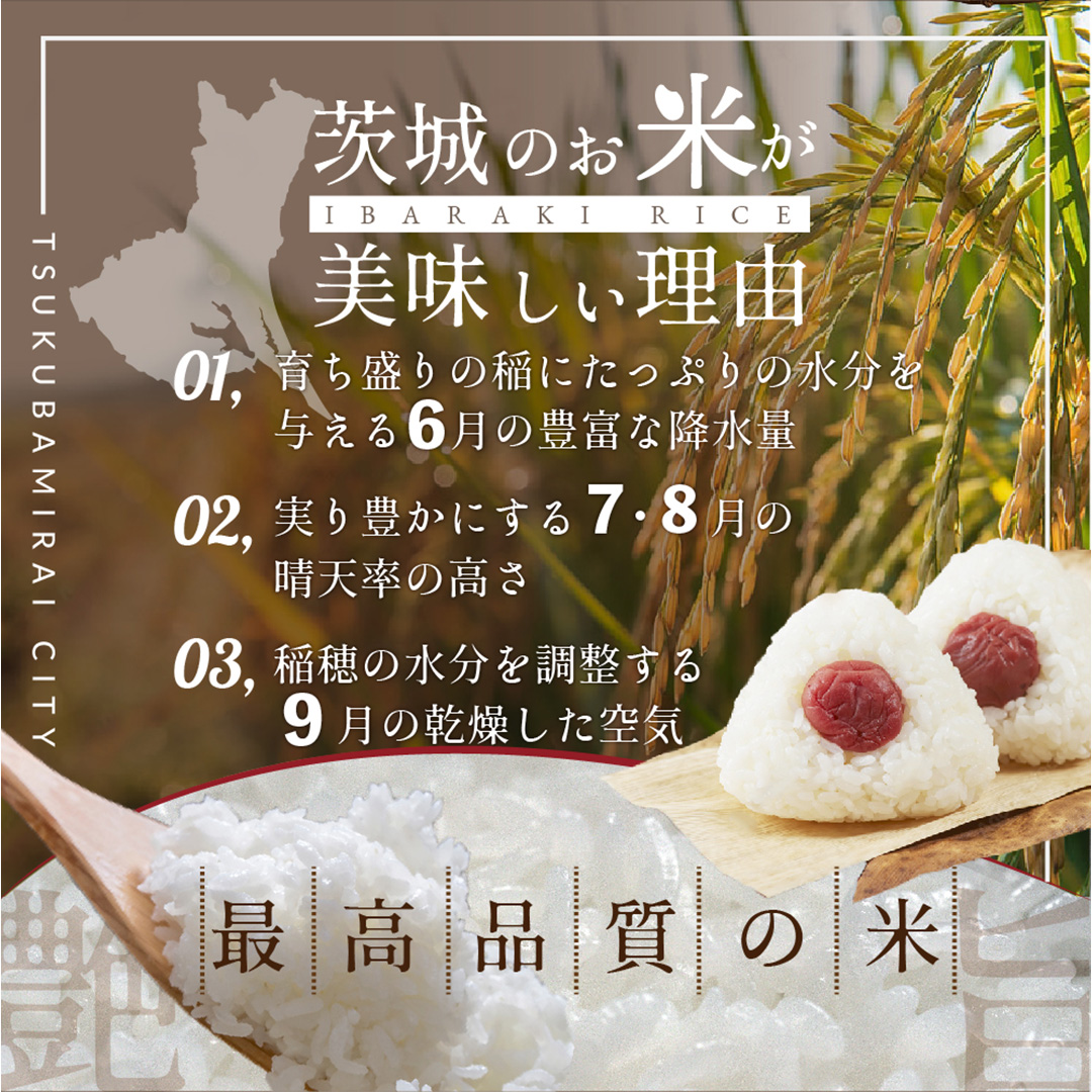 茨城県つくばみらい市のふるさと納税 ＼ 新米 令和６年産 ／【 お試しサイズ 】 茨城県産 コシヒカリ 300g (300g×1袋) お試し ♪ 2合 五つ星お米マイスター監修 寄附額 1000円 ポッキリ 米 精米 茨城 お米 おこめ ごはん 白米 米 茨城産  こしひかり[DW01-NT]