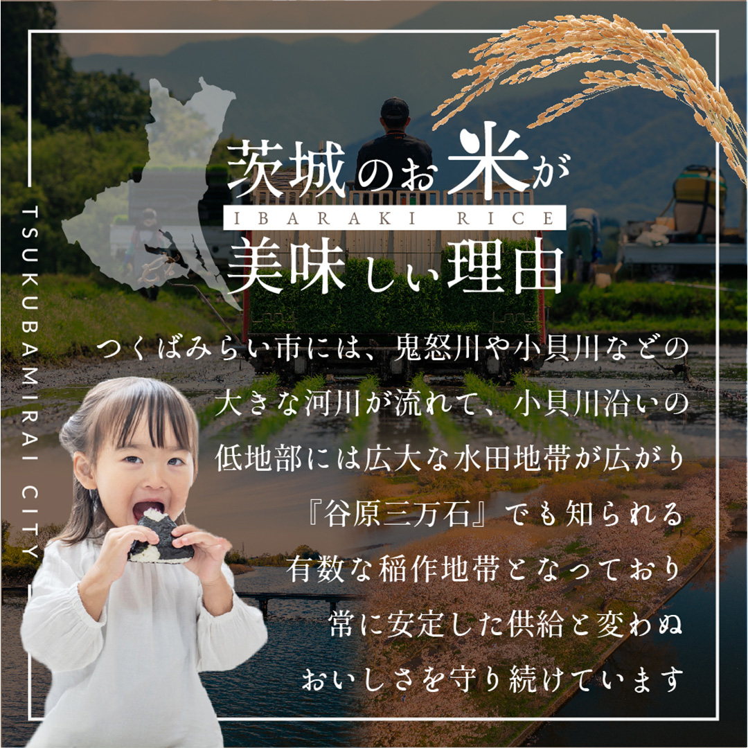 茨城県つくばみらい市のふるさと納税 ＼ 新米 令和６年産 ／【 お試しサイズ 】 茨城県産 コシヒカリ 300g (300g×1袋) お試し ♪ 2合 五つ星お米マイスター監修 寄附額 1000円 ポッキリ 米 精米 茨城 お米 おこめ ごはん 白米 米 茨城産  こしひかり[DW01-NT]