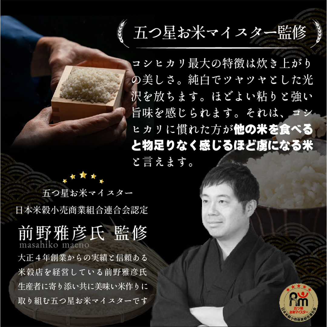 茨城県つくばみらい市のふるさと納税 ＼ 新米 令和６年産 ／【 お試しサイズ 】 茨城県産 コシヒカリ 300g (300g×1袋) お試し ♪ 2合 五つ星お米マイスター監修 寄附額 1000円 ポッキリ 米 精米 茨城 お米 おこめ ごはん 白米 米 茨城産  こしひかり[DW01-NT]