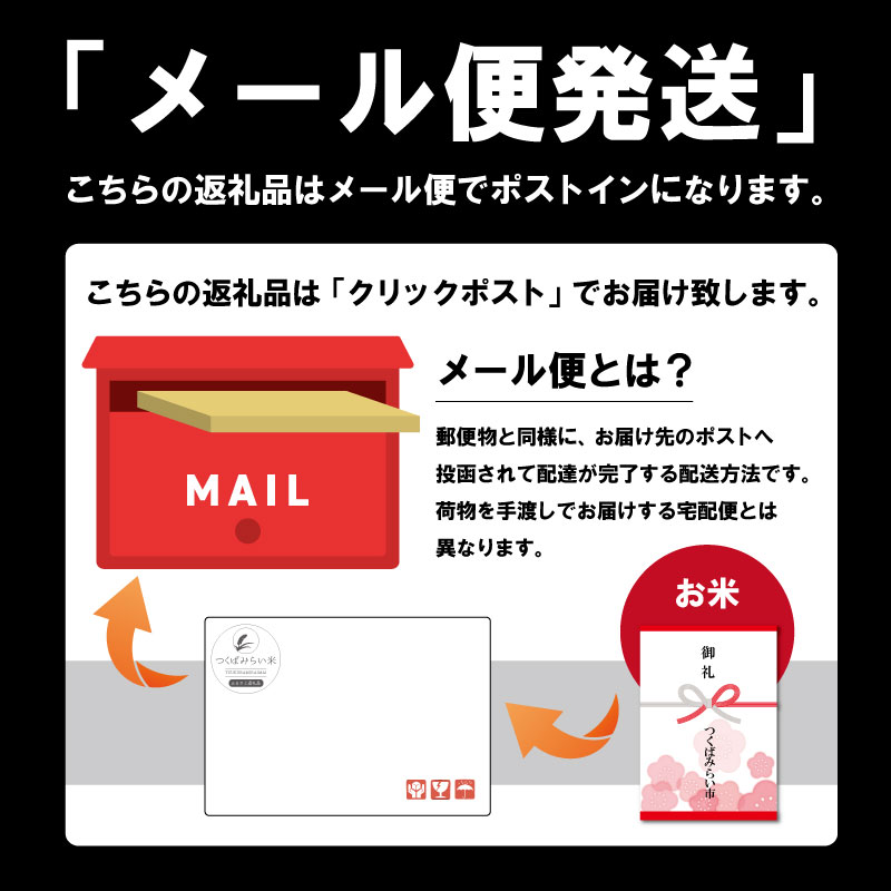 茨城県つくばみらい市のふるさと納税 ＼ 新米 令和６年産 ／【 お試しサイズ 】 茨城県産 コシヒカリ 300g (300g×1袋) お試し ♪ 2合 五つ星お米マイスター監修 寄附額 1000円 ポッキリ 米 精米 茨城 お米 おこめ ごはん 白米 米 茨城産  こしひかり[DW01-NT]