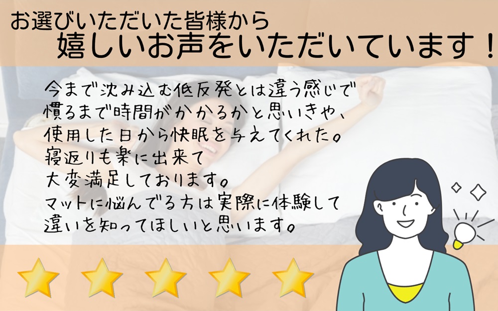 昭和西川ボディフレッシュムアツ布団高級マットレス3分の1