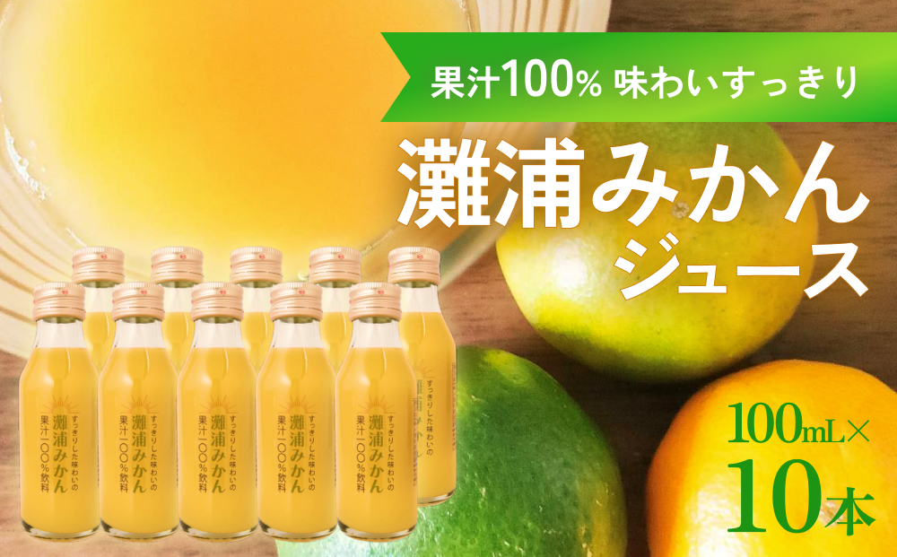 すっきりした味わいの灘浦みかん果汁100%飲料10本セット 富山県 氷見市 フルーツ みかんジュース 柑橘 ストレートジュース