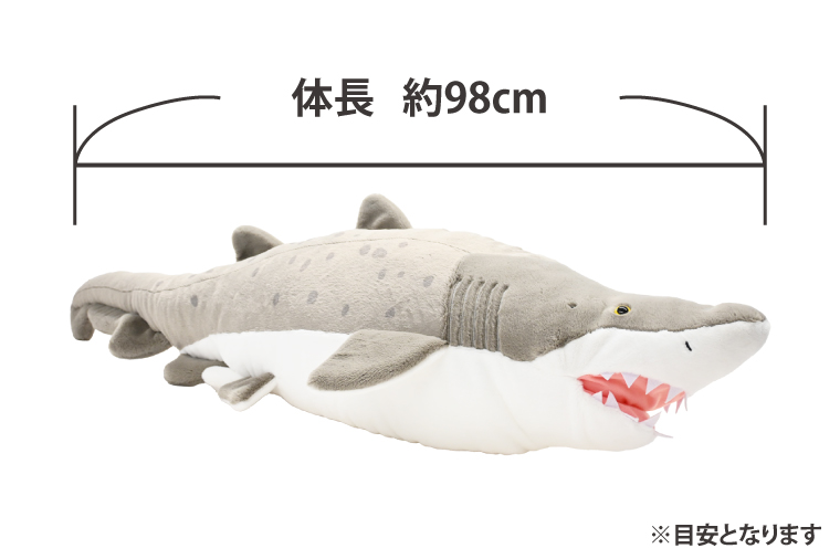 ぬいぐるみ オリジナル シロワニ オス １体 アクアワールド 大洗 限定 グッズ 水族館 さめ サメ 鮫（茨城県大洗町） |  ふるさと納税サイト「ふるさとプレミアム」