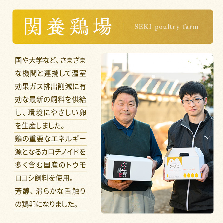 関匠卵 たくみ30個 ※北海道・沖縄・離島への配送不可 | 卵 30個 赤玉