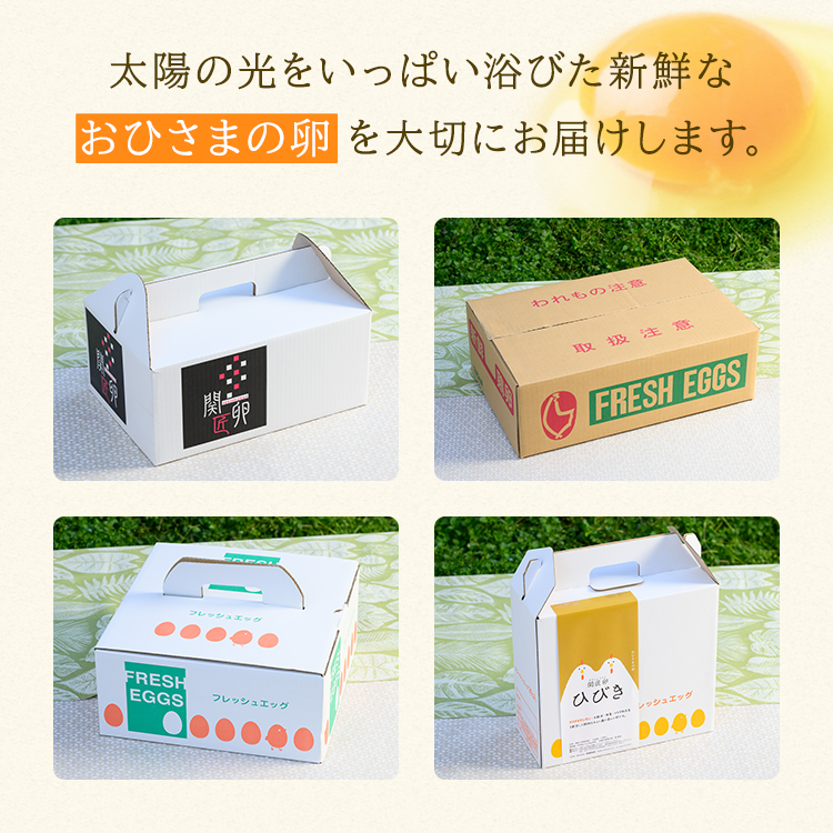 関匠卵 たくみ30個 ※北海道・沖縄・離島への配送不可 | 卵 30個 赤玉