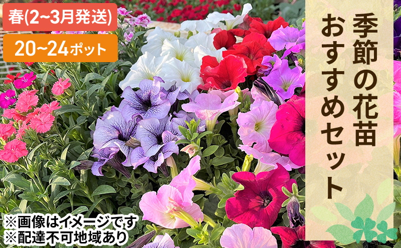春 の 花苗 おすすめ セット 20〜24ポット(4〜6月発送) ガーデニング 園芸 お花 花 フラワー