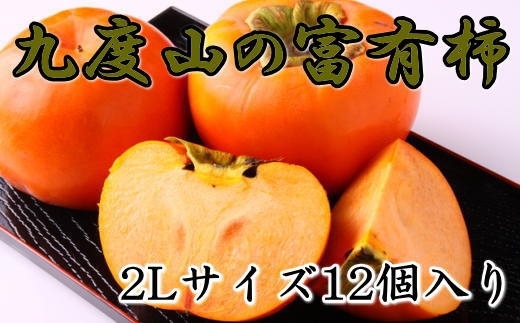 ≪柿の名産地≫九度山町の富有柿2Lサイズ12個入り
※着日指定不可
※2024年11月上旬～12月上旬頃に順次発送予定