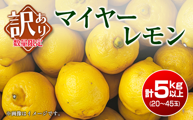訳あり 数量限定 マイヤーレモン 5kg フルーツ 果物 柑橘 レモン 檸檬 みかん オレンジ 人気 おすすめ おすそ分け お土産 プレゼント お取り寄せ グルメ 国産 食品 デザート スイーツ おやつ ブランド 希少 特産品 産地直送 宮崎県 日南市 送料無料
