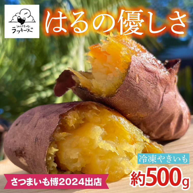 【茨城県行方市】【2025年12月中旬より順次発送】【日本最大級のサツマイモの祭典、さつまいも博2024 出店】はるの優しさ(冷凍やきいも) 約500g|冷凍 焼芋 焼き芋 やきいも さつまいも さつま芋 熟成 茨城県 行方市 ふるさと納税(GC-1)