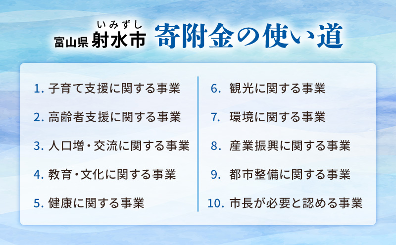 富山県射水市のふるさと納税 富山県射水市　応援寄附（返礼品なし） 1,000円