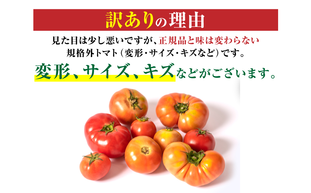 熊本県八代市のふるさと納税 【訳あり】 八代市産 規格外トマト 2kg 熊本県 トマト 野菜