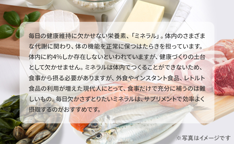 岐阜県池田町のふるさと納税 DHCマルチミネラル 30日分 3個セット（90日分）