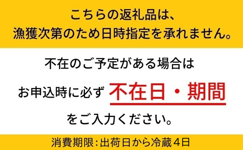 富山県射水市のふるさと納税 【2025年3月上旬以降発送】富山県産ボイルホタルイカ340g（酢みそ付）【棚辺水産】