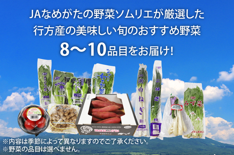 茨城県行方市のふるさと納税 AE-41　【隔月6回定期便】【行方かんしょ入り】JAなめがたしおさい 季節の野菜　8～10種類