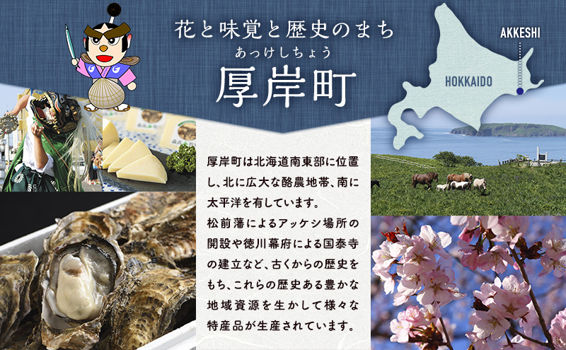 北海道厚岸町のふるさと納税 厚岸産 ブランドかき カキえもん LLサイズ 12個  牡蠣