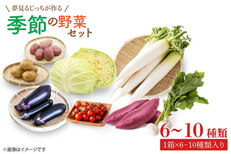 【茨城県行方市】CN-5 夢見るじっちが作る季節の野菜セット 6〜10種類入り1箱