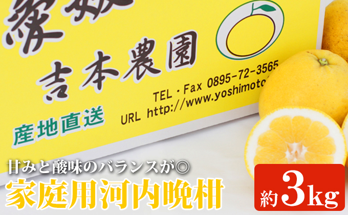 吉本農園の愛南ゴールド(河内晩柑)家庭用約3kg [柑橘 希少 果物 国産 フルーツ みかん 蜜柑 家庭用 和製 グレープフルーツ ブランド 果実 ビタミン 愛媛県 鬼北町] ※2024年4月上旬〜8月上旬頃に順次発送予定