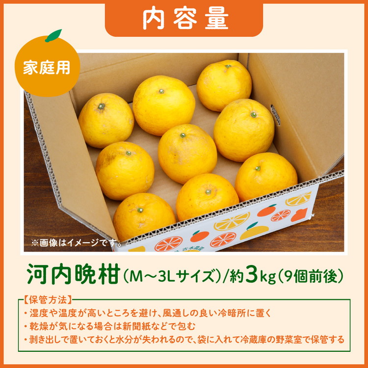 愛媛県鬼北町のふるさと納税 【先行予約】吉本農園の愛南ゴールド（河内晩柑）家庭用約3kg　＜柑橘 希少 果物 国産 フルーツ みかん 蜜柑  家庭用 和製 グレープフルーツ ブランド 果実 ビタミン 愛媛県 鬼北町＞ ※2025年4月上旬～8月上旬頃に順次発送予定