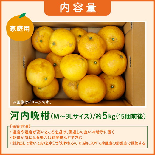 愛媛県鬼北町のふるさと納税 【先行予約】吉本農園の愛南ゴールド（河内晩柑）家庭用約5kg　＜柑橘 希少 果物 国産 フルーツ みかん 蜜柑  家庭用 和製 グレープフルーツ ブランド 果実 ビタミン 愛媛県 鬼北町 ＞ ※2025年4月上旬～8月上旬頃に順次発送予定