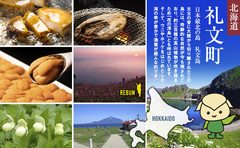 北海道 礼文島産 採れたて キタムラサキウニ 塩水パック 100g×3 北海道 礼文島産 採れたて キタムラサキウニ 塩水パック 100g×3