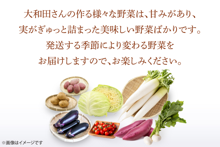 茨城県行方市のふるさと納税 CN-7 【6ヶ月定期便】 夢見るじっちが作る季節の野菜セット 6～10種類入り1箱