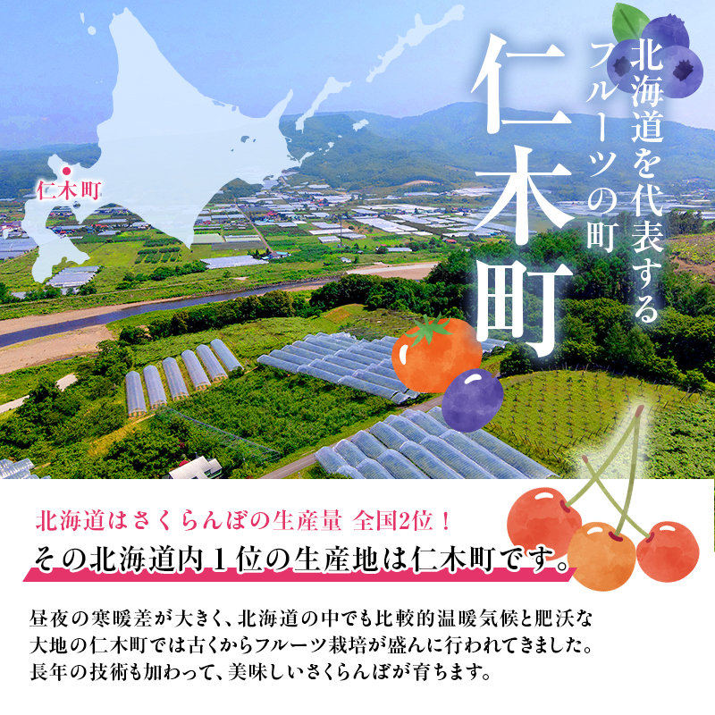 北海道仁木町のふるさと納税 先行予約 農園厳選 さくらんぼ 紅秀峰 2Lサイズ 以上1kg（品質： ギフ ト向け）