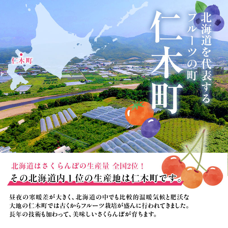 北海道仁木町のふるさと納税 先行予約 農園厳選 さくらんぼ 南陽 2Lサイズ 以上600g（品質： ギフト 向け）