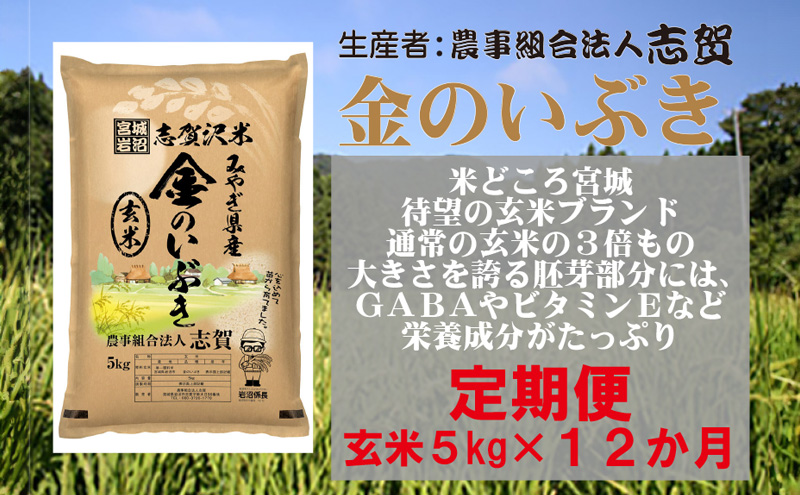 【12ヶ月定期便】宮城県岩沼市産 志賀沢米 金のいぶき 玄米5kg