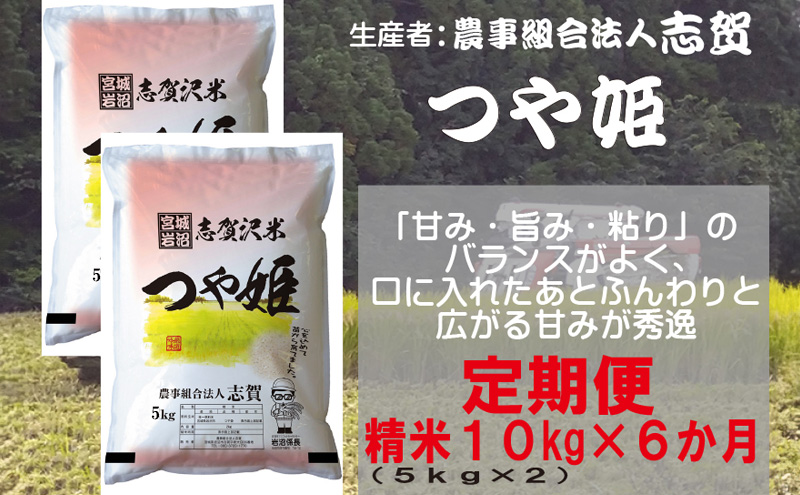 【6ヶ月定期便】宮城県岩沼市産 志賀沢米 つや姫 精米10kg(5kg×2）