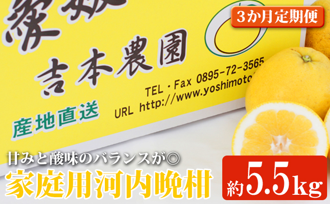 河内晩柑3回お届け定期便/家庭用愛南ゴールド 5.5kg×3回[柑橘 希少 果物 国産 フルーツ みかん 蜜柑 定期便 家庭用 和製 グレープフルーツ ブランド 果実 ビタミン 愛媛県 鬼北町 ] ※2024年4月上旬〜8月上旬頃に順次発送予定