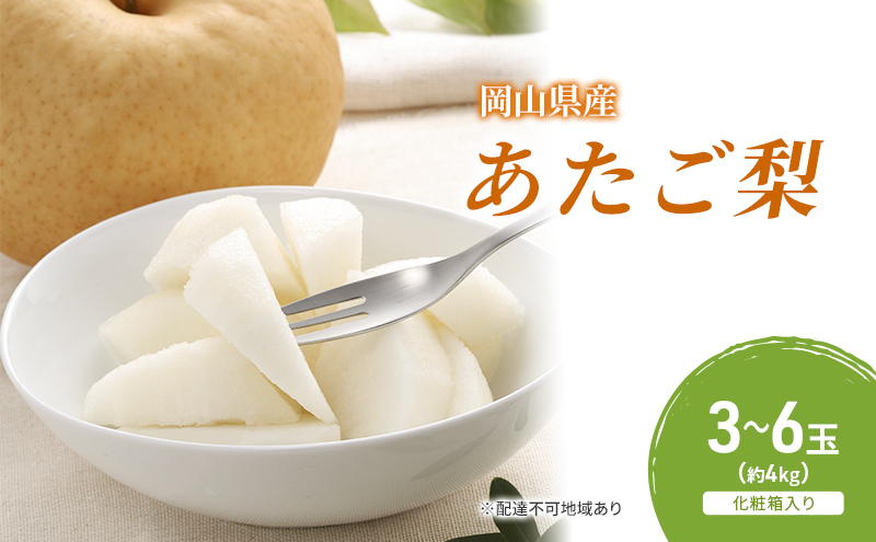 【岡山県玉野市】梨 2025年 先行予約 あたご梨 3-6玉(約4kg) 化粧箱入り なし ナシ 岡山県産 国産 フルーツ 果物 ギフト
