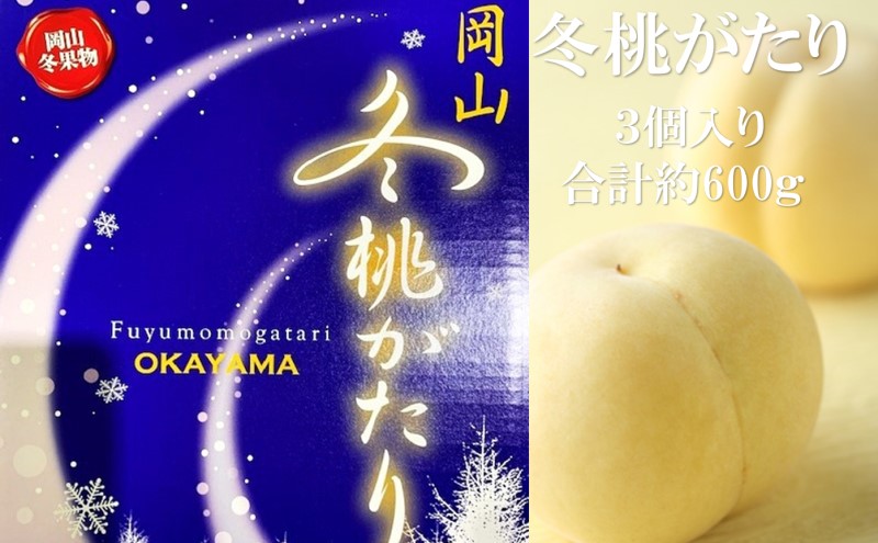 【岡山県玉野市】桃 2025年 先行予約  岡山県産 白桃 冬桃がたり 3個入り 約600g もも モモ 岡山県産 国産 フルーツ 果物 ギフト