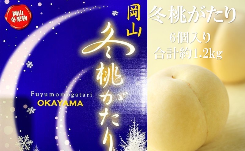 桃 2024年 先行予約  岡山県産 白桃 冬桃がたり 6個入り 約1200g もも モモ 岡山県産 国産 フルーツ 果物 ギフト