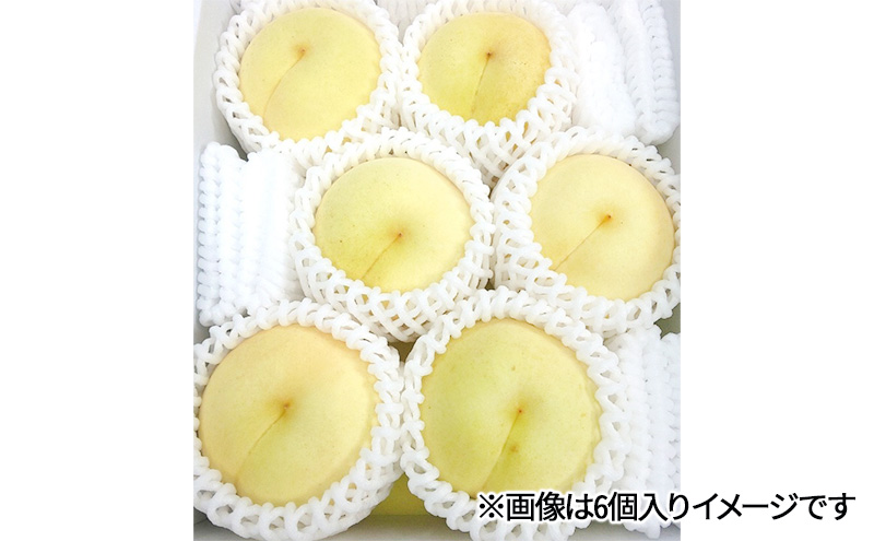週間売れ筋 桃 約1200g 6個入り 冬桃がたり 白桃 岡山県産 先行予約 2025年 果物