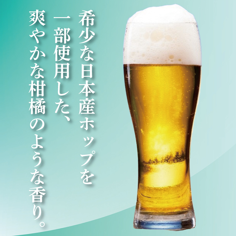 キリンビール取手工場産 スプリングバレージャパンエール〈香