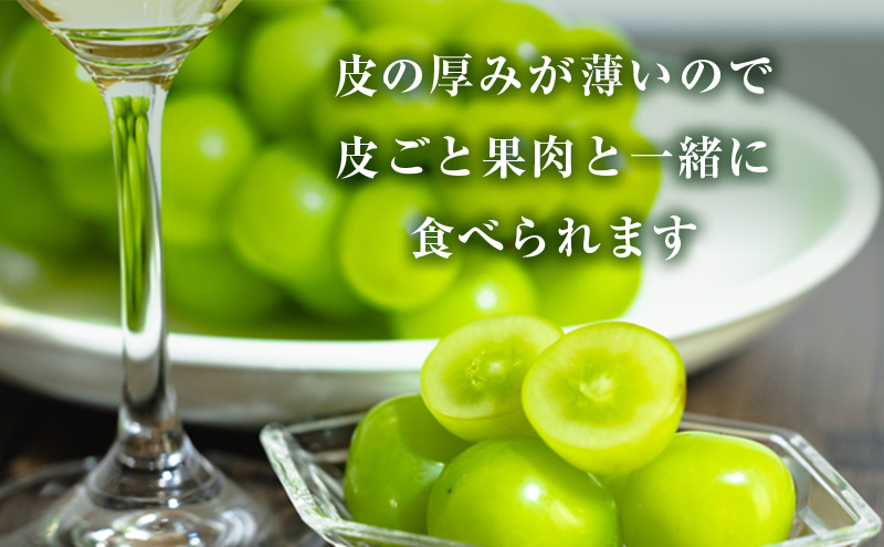 岡山県高梁市のふるさと納税 2024年 先行予約 シャインマスカット 4～5房 合計約2kg 冷蔵配送 ぶどう 葡萄 フルーツ 果物 岡山