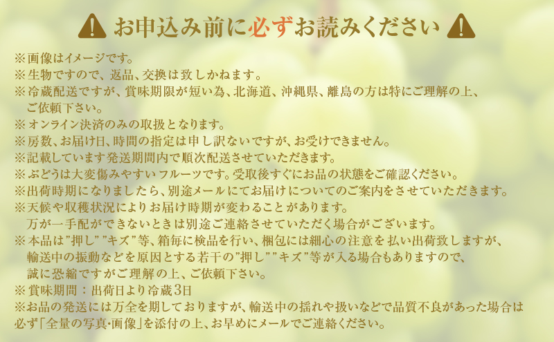 岡山県高梁市のふるさと納税 2025年 先行予約 シャインマスカット 4～5房 合計約2kg 冷蔵配送 ぶどう 葡萄 フルーツ 果物 岡山 岡山のぶどう 岡山の果物 食後 デザート 産地直送 大粒 皮ごと 種無し