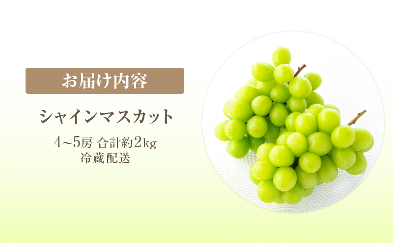 岡山県高梁市のふるさと納税 2025年 先行予約 シャインマスカット 4～5房 合計約2kg 冷蔵配送 ぶどう 葡萄 フルーツ 果物 岡山 岡山のぶどう 岡山の果物 食後 デザート 産地直送 大粒 皮ごと 種無し