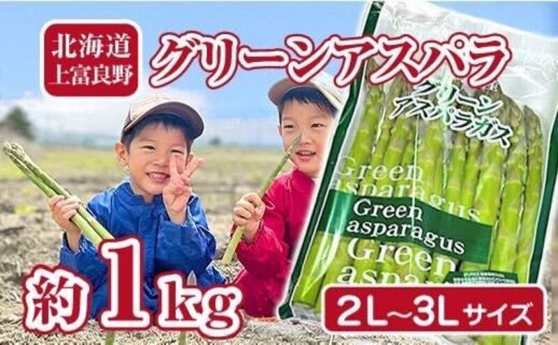 朝採り【白いとうもろこし】L-LL 8本セット≪北海道上富良野町産 朝採り【白いとうもろこし】L-LL 8本セット≪北海道上富良野町産
