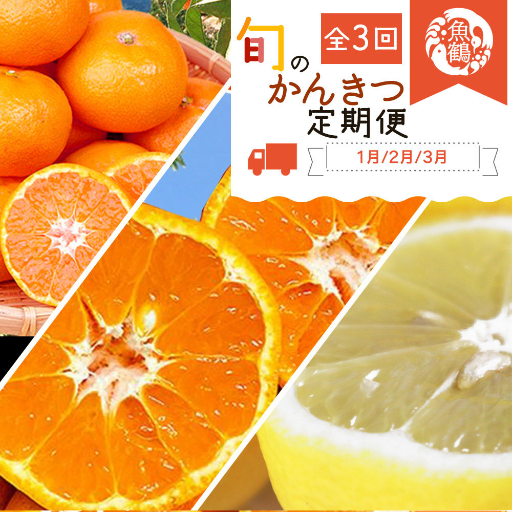 【和歌山県有田郡湯浅町】G60-T42_【定期便 全3回】紀州和歌山産旬の柑橘セット(みかん・ポンカン・レモン)