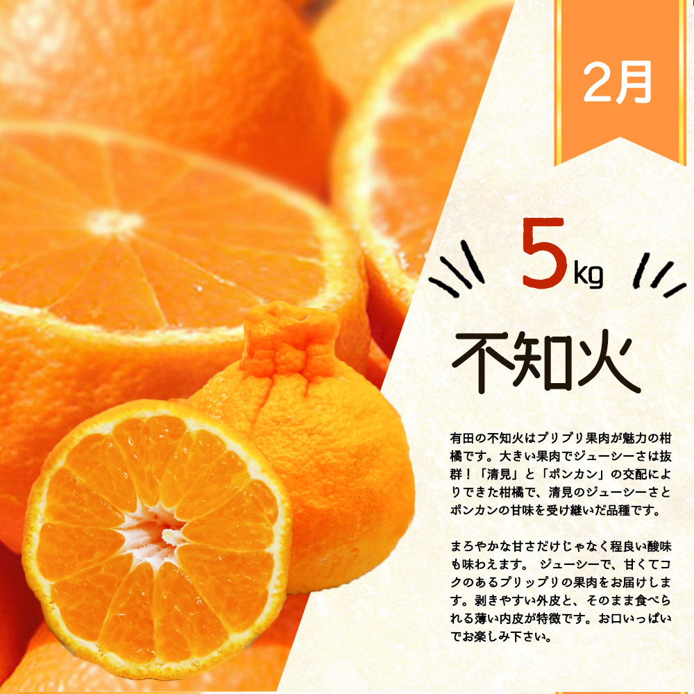 G60-T46_【定期便 全3回】紀州和歌山産旬の柑橘セット（不知火・せとか 