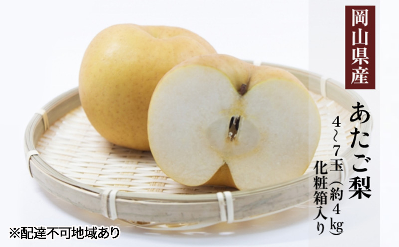 【岡山県玉野市】梨 2025年 先行予約 あたご梨 4〜7玉(約4kg) 化粧箱入り なし ナシ 岡山県産 国産 フルーツ 果物 ギフト