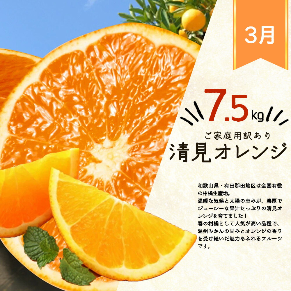 G60-T79_【定期便 全3回】紀州和歌山産旬のご家庭用柑橘セット