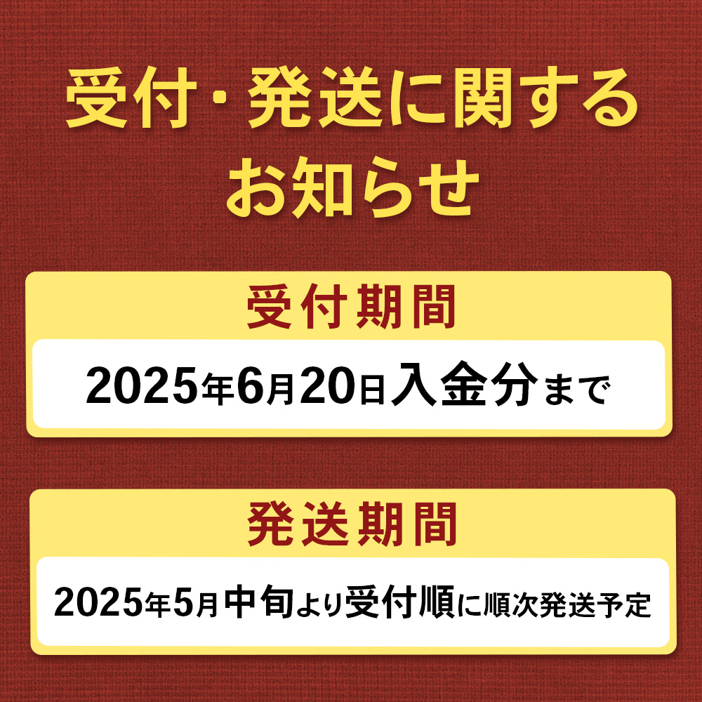 北海道羽幌町のふるさと納税 【2025年 先行予約！】【朝採り発送】うえさかさんの露地アスパラ スペシャル 1.5kg【20101】