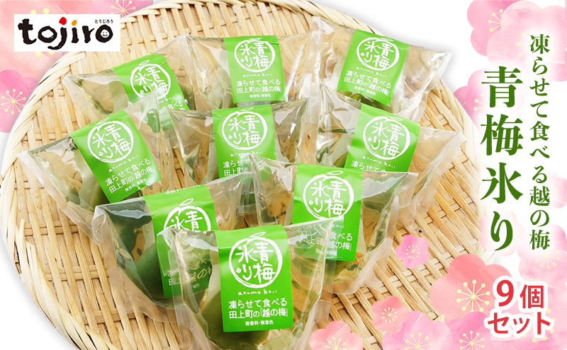 凍らせて食べる越の梅 「青梅氷り」 9個セット / 新潟県田上町