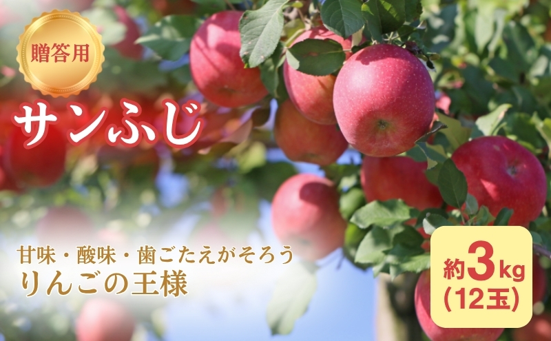 長野県産 サンザシ 3kg 長野県産 3kgサンザシ（山楂） - メルカリ