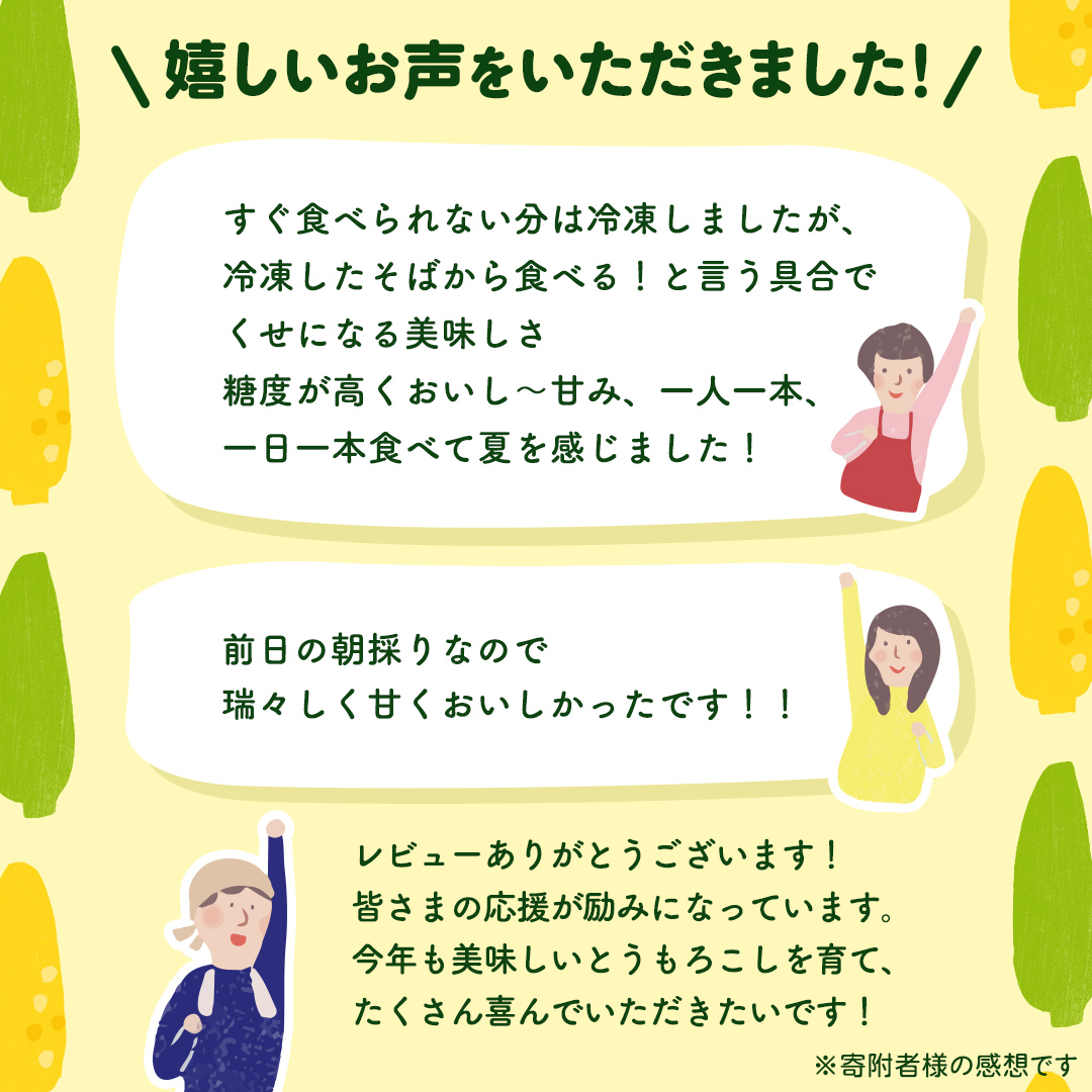 茨城県八千代町のふるさと納税 【先行予約 令和7年 6月下旬 以降発送 】 朝採り とうもろこし （ ゴールドラッシュ ） 約 6kg トウモロコシ スイートコーン コーン 野菜 産地直送 期間限定 極甘 岩田さん 昼めし旅 [AX019ya]