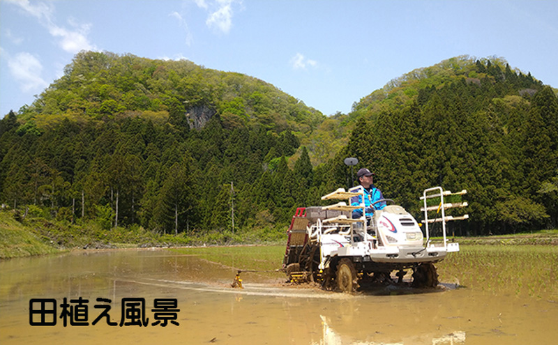 宮城県岩沼市のふるさと納税 宮城県岩沼市産　志賀沢米　金のいぶき　玄米5kg お米 宮城県産